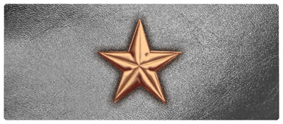 DNSEMP-L-430-CP-SL Star Copper-Silver